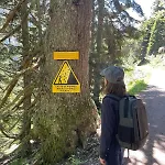 Appartement - Spacieux Entre Ville Et Nature !