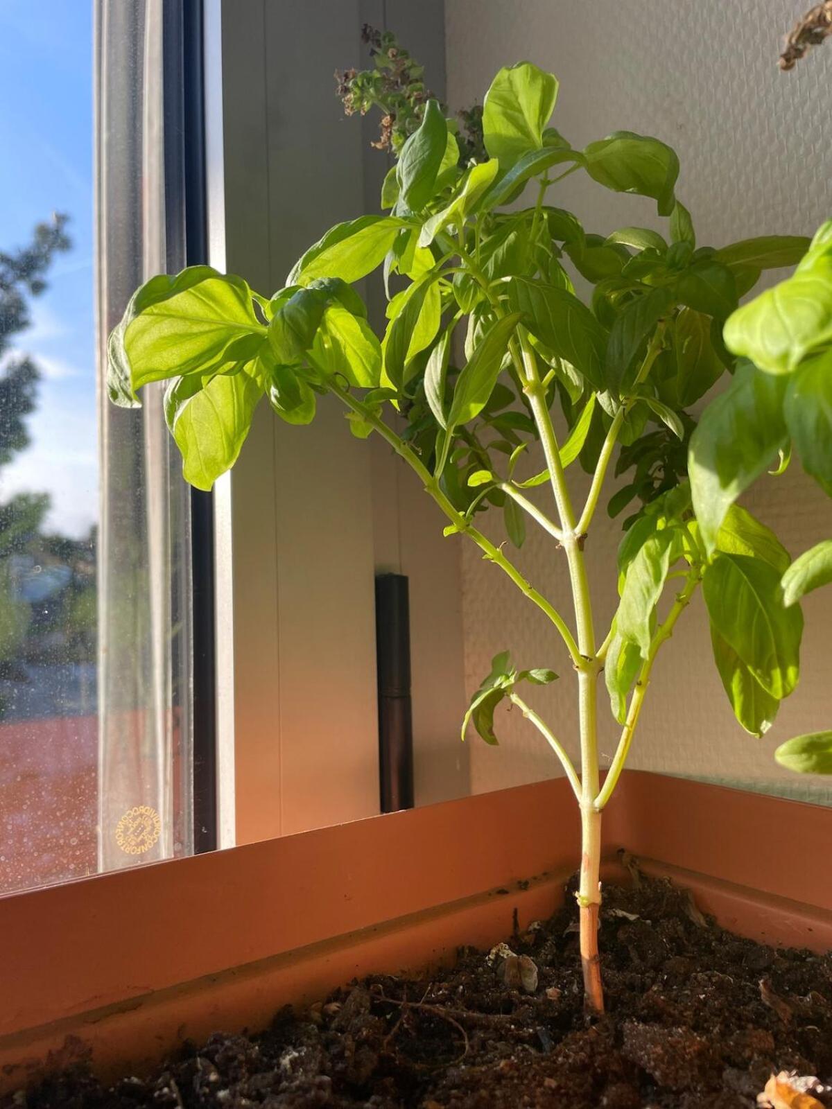 - Spacieux Entre Et Nature ! Appartement *
